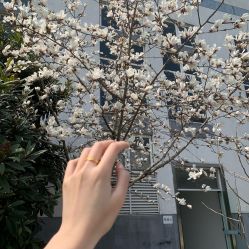 -六福珠寶(苏州人民商场店)