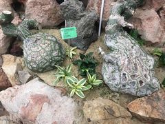 -华南国家植物园-售票处