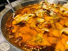沸腾水煮江团-新沸腾鱼乡(世贸天阶店)