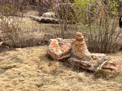 -大青山野生动物园