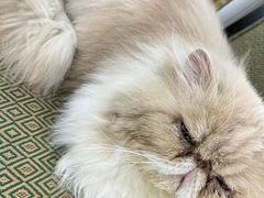 -鑫亮视光·蔡司品牌折扣店·配镜(哈工大科学园店)