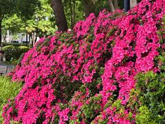 -常州古运河南大街文化旅游区-人民公园