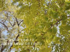 -北京石刻艺术博物馆(五塔寺)