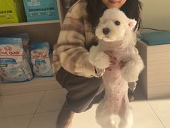 -天宠宠物医院24小时·急重症诊疗中心·全科·腔镜特色(和平分院)
