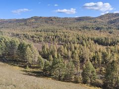 -莫尔道嘎国家森林公园