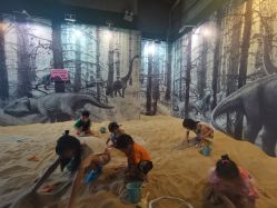 -恐龙探索乐园(磁器口店)