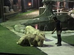 -清迈夜间动物园