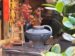 -田园印象·成都土菜院子(华阳店)