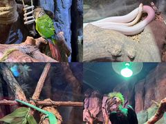 -正佳雨林生态植物园