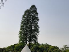 -嘉兴清池酒店温泉