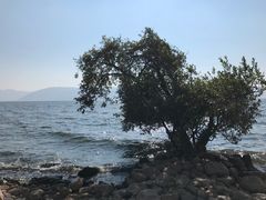 -大理洱海