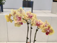 -小巢精品酒店(朝阳医院东大桥地铁站店)