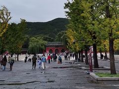 -晋祠公园