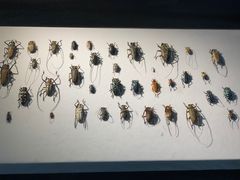 -燕莎友谊商城(亮马桥店)