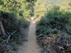 -东莞市大岭山森林公园
