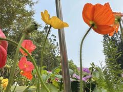 -人民公园(罗湖区)