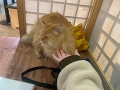 -小时光咖啡馆(开森度假森林店)