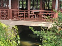 -上海醉白池公园