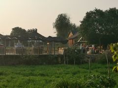 -同里国家湿地公园