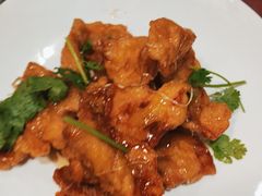 -邵年鸽(杨庄店)