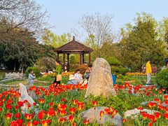 -祥源·阜阳生态乐园