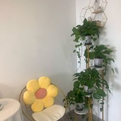 -凡碧诗毛孔收细