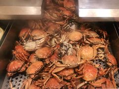 -西安赛瑞喜来登大酒店