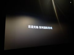 -保利国际影城(保利文化广场店)