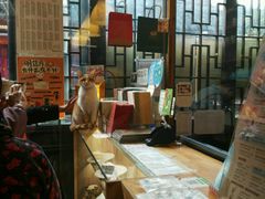 -猫的天空之城概念书店(西塘古镇店)