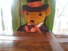 -济州岛泰迪熊博物馆