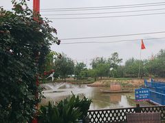 -大队长大灶鹅
