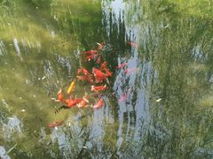 -趵突泉景区