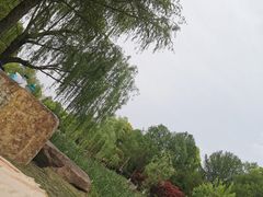 -九科绿洲