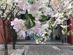 -北京奥林匹克公园