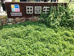 -田园东方蜜桃村的田野营地