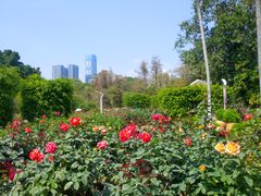 -人民公园(罗湖区)