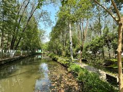 -合肥滨湖国家森林公园