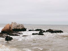 -养马岛旅游度假区