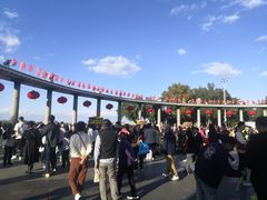 -人民防洪胜利纪念塔