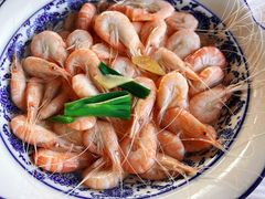 白米虾-洞天食府(北大街店)