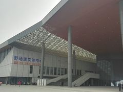 -野马渡文体中心游泳·健身