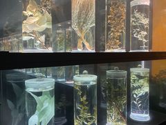 -广东中医药博物馆