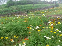 android_upload_pic-乐天花谷