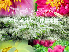 -国家植物园南园