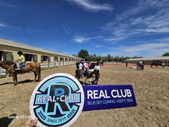 -北京群众马术培训基地