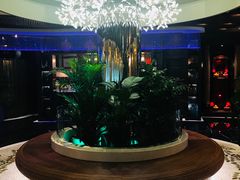 -润园四季椰子鸡火锅(海上世界店)