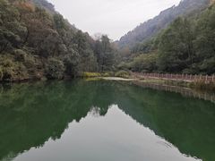 -桃花岭景区