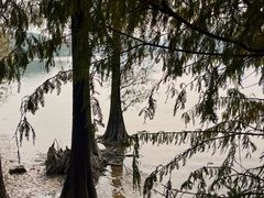 -海珠湖公园