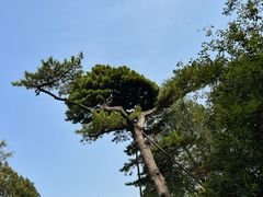 -香山公园