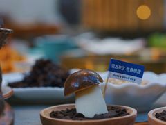 -大理董·董家小厨野生菌火锅(古城旗舰店)